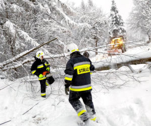 Podkarpacie: Tysiące domów bez prądu! Strażacy interweniowali setki razy, śnieg paraliżuje region