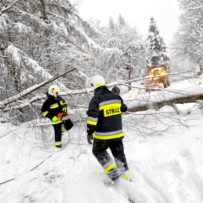 Atak zimy na Podkarpaciu: Tysiące domów bez prądu! Strażacy interweniowali setki razy, śnieg paraliżuje region