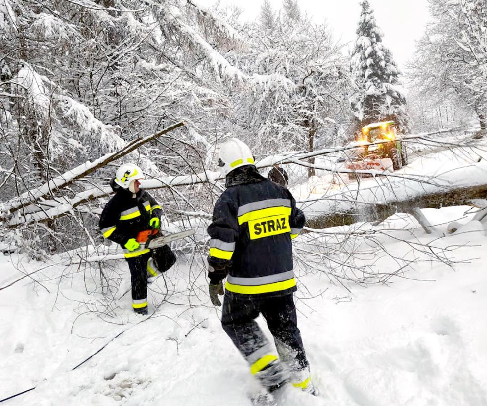Atak zimy na Podkarpaciu: Tysiące domów bez prądu! Strażacy interweniowali setki razy, śnieg paraliżuje region