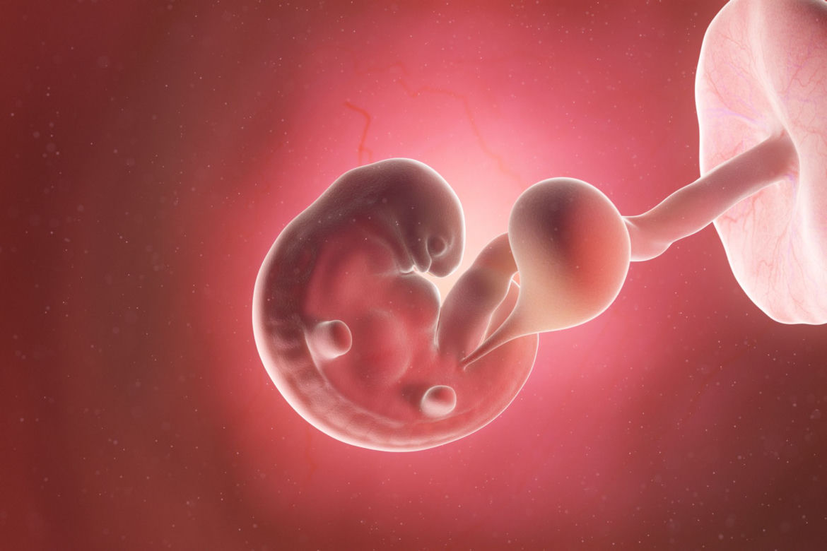 6 tydzień ciąży