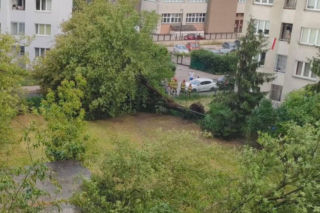 Gwałtowna burza nad Warszawą. Drzewa wyrwane z korzeniami w 5 minut!