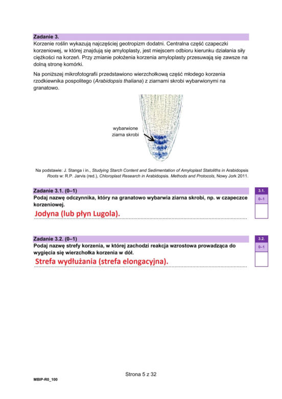 Matura 2025 biologia rozszerzona: ODPOWIEDZI do wszystkich zadań, gotowe rozwiązania matury z biologii rozszerzonej [9.05.2025]	