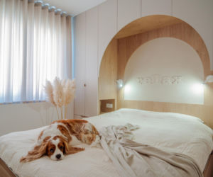 Nail Polish Inspired Interior: Hybryda mieszkania i studia fotograficznego na 63 metrach