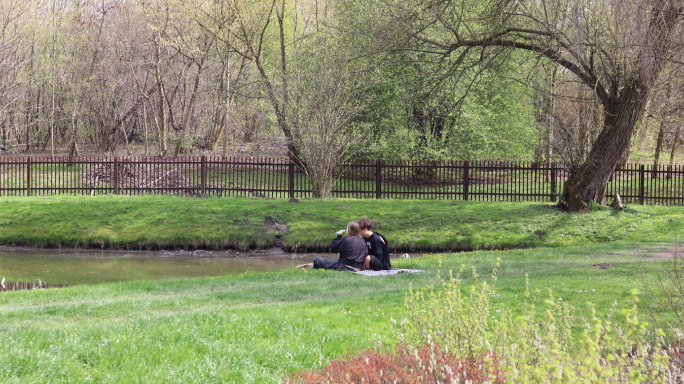 Ogród Botaniczny w Lublinie otwarty! Wszędzie widać wiosnę