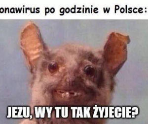 Memy o koronawirusie 2020