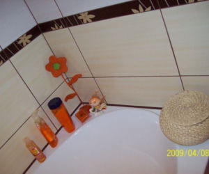 Zdjęcie 3782