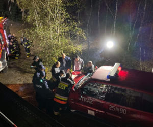 W podbydgoskim lesie zaginął grzybiarz 