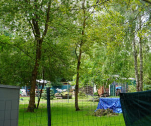 Teren Rekreacyjnych Ogródków Działkowych na Międzywalu Wisły
