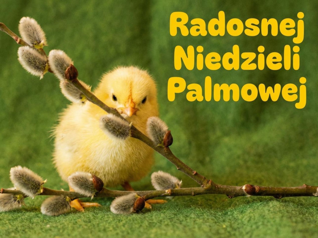 Kartka na Niedzielę Palmową