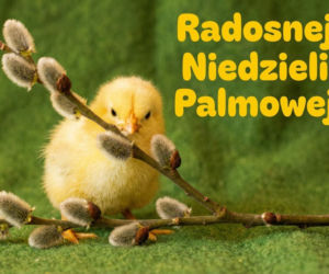 Kartka na Niedzielę Palmową
