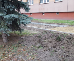 Budują ściężkę rowerową przy ul. Dąbrowskiego w Lesznie