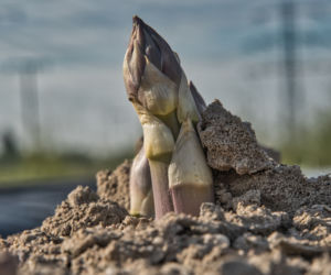 Więcej pieniędzy w kieszeni Polaków? Jest projekt zmian w podatkach 