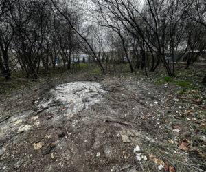 Zabrali dzieciom psa jak rzecz