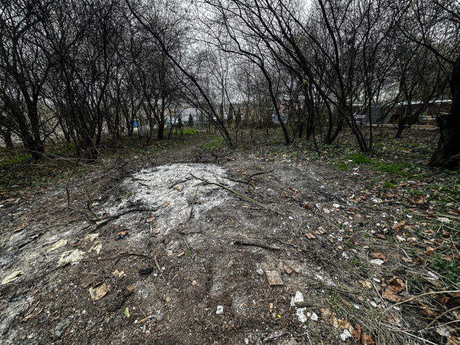 Zabrali dzieciom psa jak rzecz