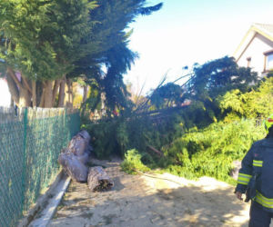 Zerwane dachy, powalone drzewa i prawie 11 tysięcy odbiorców bez prądu!