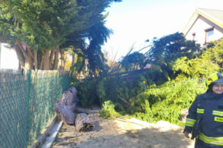 Zerwane dachy, powalone drzewa i prawie 11 tysięcy odbiorców bez prądu!