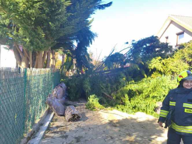 Zerwane dachy, powalone drzewa i prawie 11 tysięcy odbiorców bez prądu!