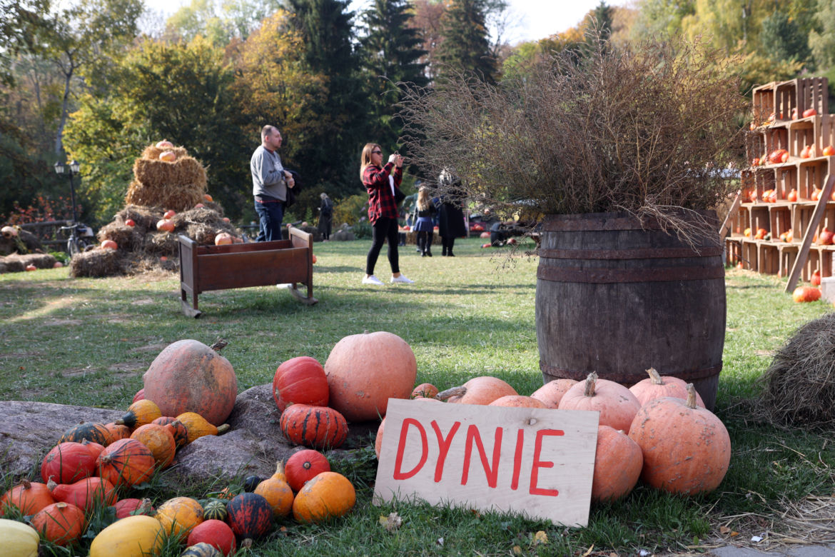 Farma dyń w Lublinie