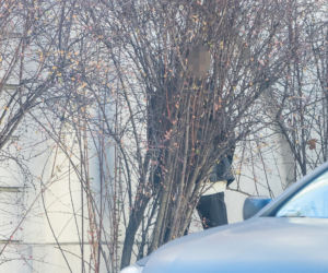 Jolanta Kwaśniewska poszła załatwić sprawy. Jej kierowca w tym czasie...Fuj! Jak tak można?!