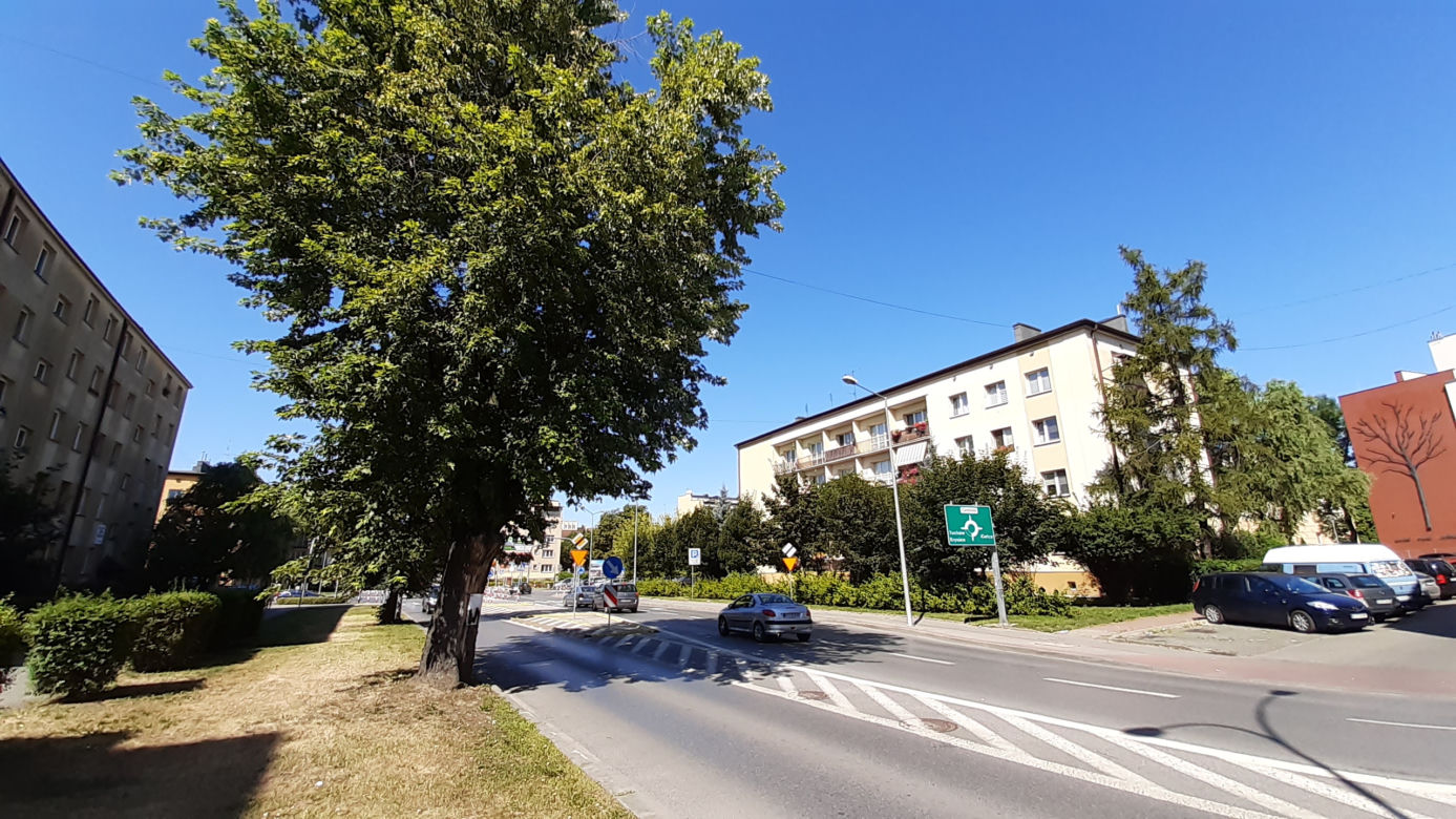 Wycinka drzewa oprotestowana