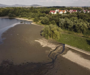 Zagłada ryb w Świdnicy