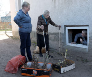 Tak żyje i pracuje Emilia Korolczuk z Rolnicy. Podlasie