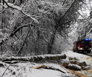 Interwencje strażaków po pierwszym ataku zimy  na Zamojszczyźnie