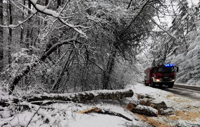 Interwencje strażaków po pierwszym ataku zimy  na Zamojszczyźnie