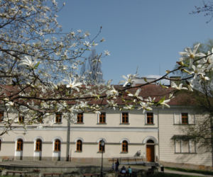 Szlak magnolii w Cieszynie
