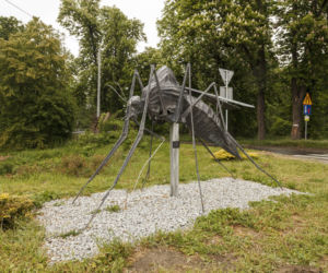 Zbudowali pomnik komara