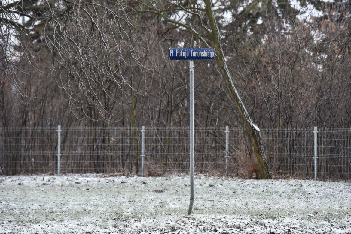  Luca L. siał grozę na ulicach Torunia. Na policję zgłosiło się już osiem poszkodowanych osób!