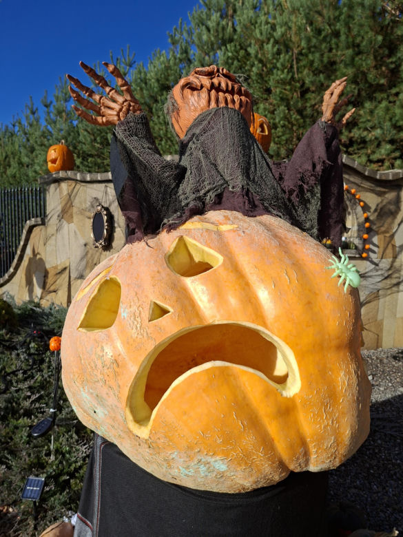 Oto najbardziej halloweenowy dom w Świętokrzyskiem!