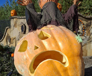 Oto najbardziej halloweenowy dom w Świętokrzyskiem!