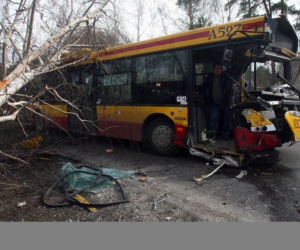 Autobus skosił drzewo