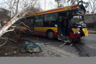 Autobus skosił drzewo