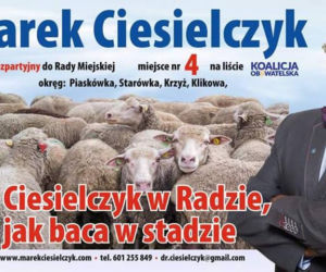 Mistrzowie kampanii