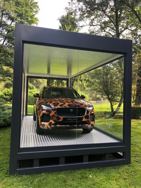 Jaguar w gdańskim zoo [ZDJĘCIA]