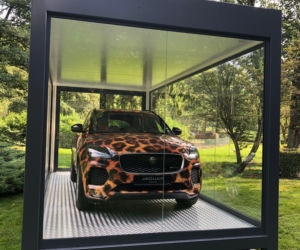 Jaguar w gdańskim zoo [ZDJĘCIA]