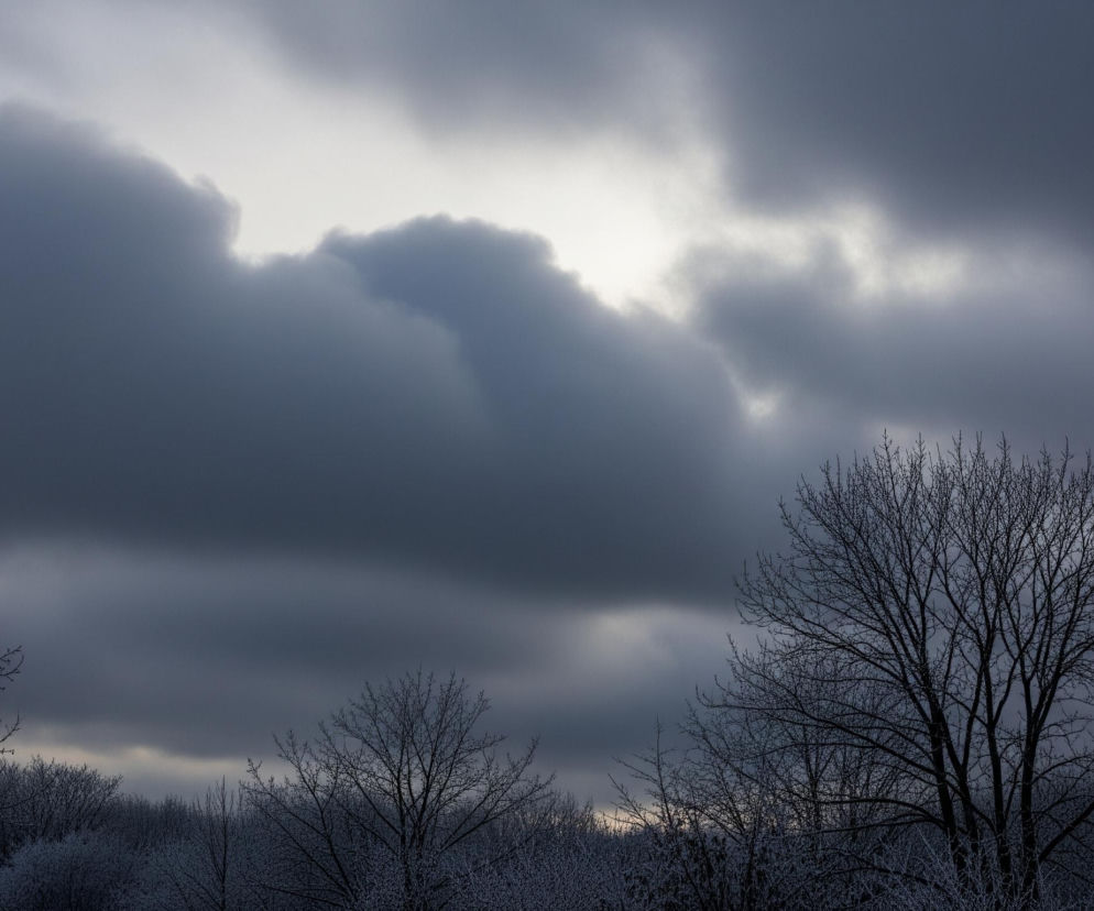 Pochmurne niebo dominuje w górnej części kadru, z ciemnoszarymi chmurami zajmującymi większość przestrzeni, jednak w centrum widać jaśniejszy obszar prześwitującego światła. Poniżej rozciąga się pasmo nagich drzew i krzewów, o gołych gałęziach pozbawionych liści. Niektóre z nich są pokryte szronem lub śniegiem, tworząc białawe akcenty na tle ciemniejszych koron.