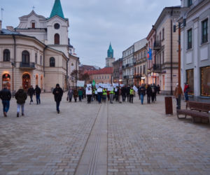 Przeciwko zabudowie Górek Czechowskich. „Strajk dla Ziemi” w centrum Lublina