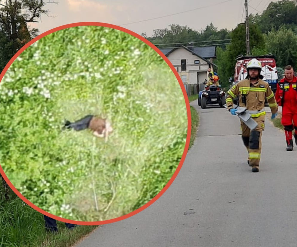 Bieszczady. Dron odnalazł zagubionego człowieka! Pierwszy raz w Polsce [ZDJĘCIA]