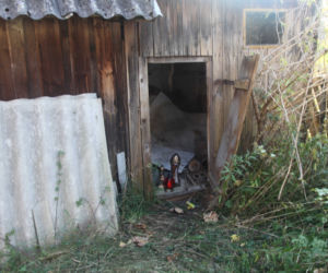 Mikołaj powiesił się w szopie