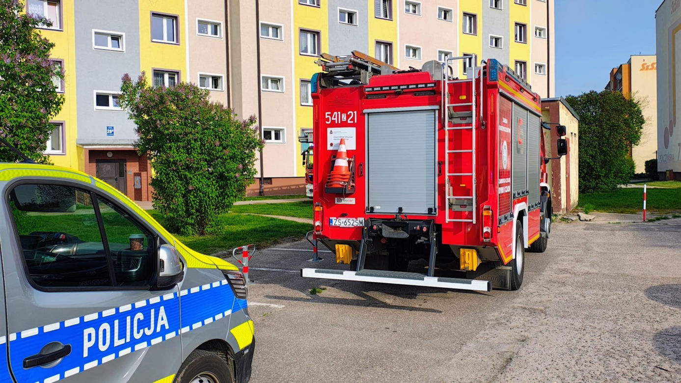 Kot zaklinował się w uchylonym oknie