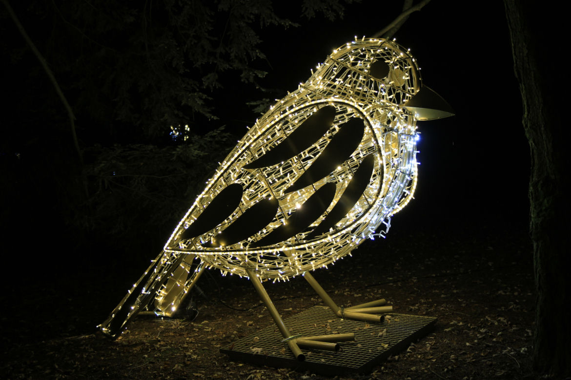 Park iluminacji „Tajemniczy Ogród” w Lublinie