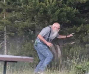 Atak bizona w Parku Narodowym Yellowstone