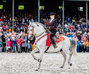 Wrocławski Tor Wyścigów Konnych - otwarcie sezonu 2019