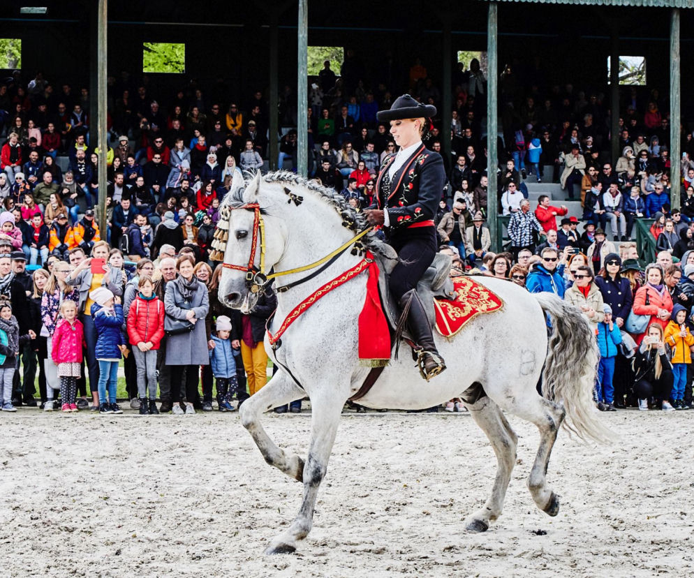 Wrocławski Tor Wyścigów Konnych - otwarcie sezonu 2019
