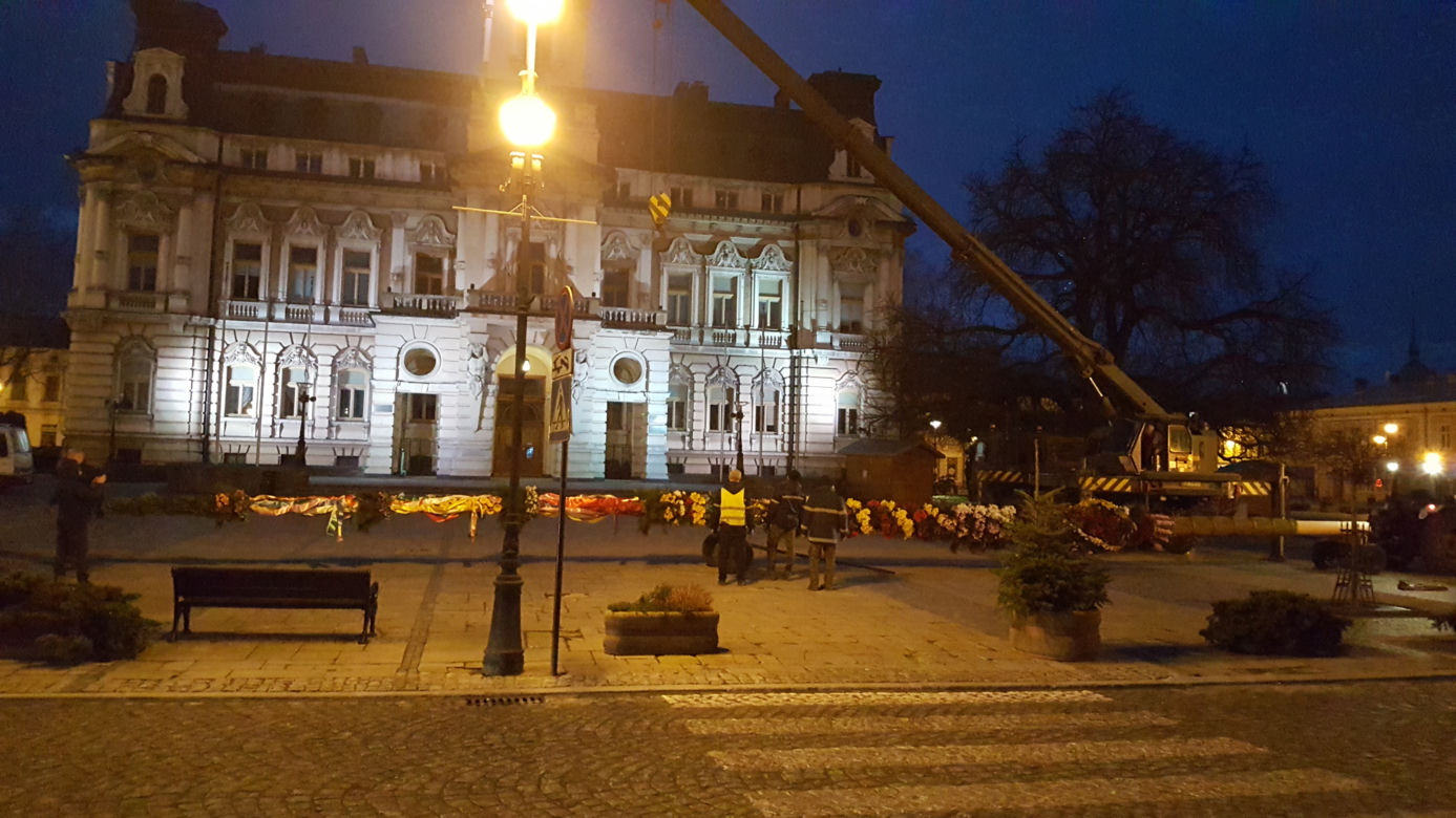  Gigantyczna palma wielkanocna  w Nowym Sączu