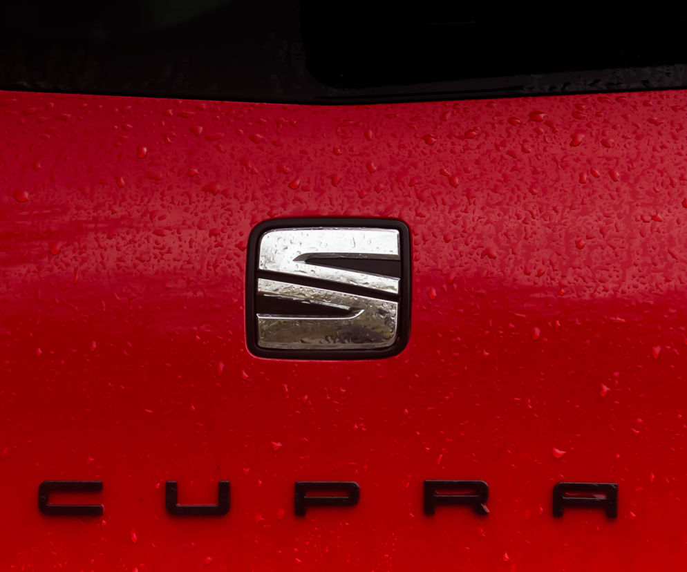 Seat Leon Cupra 290