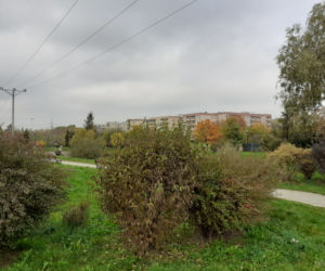 Park na Gołębiowie II przed modernizacją